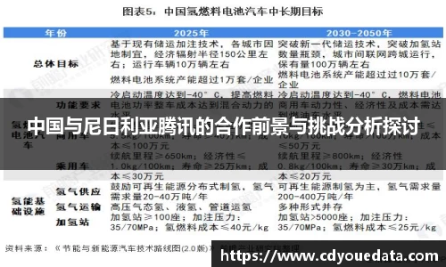 中国与尼日利亚腾讯的合作前景与挑战分析探讨