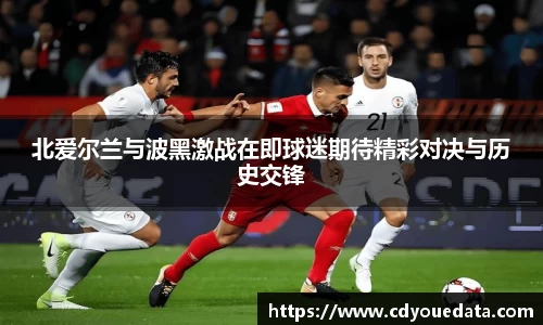 北爱尔兰与波黑激战在即球迷期待精彩对决与历史交锋
